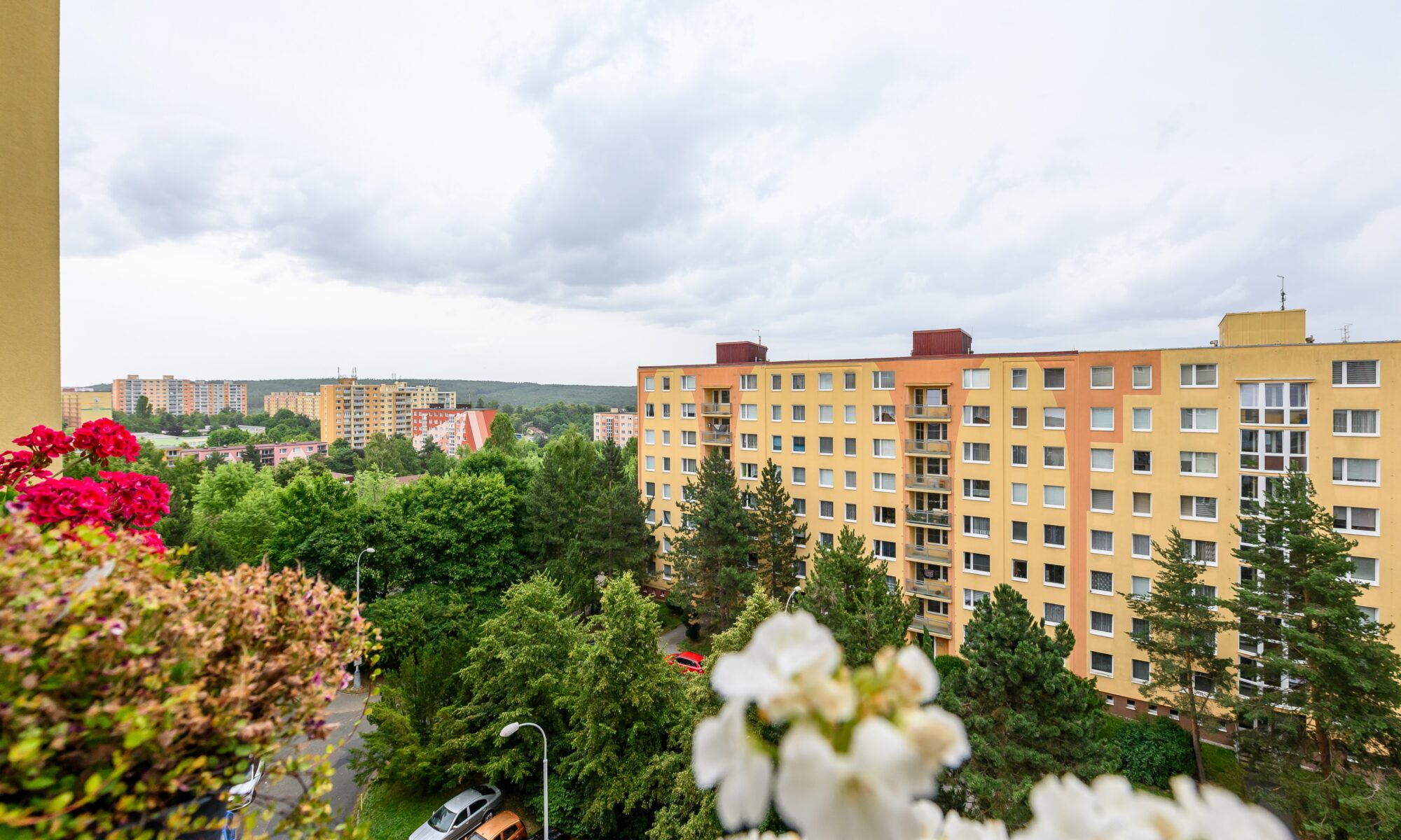 foto_14